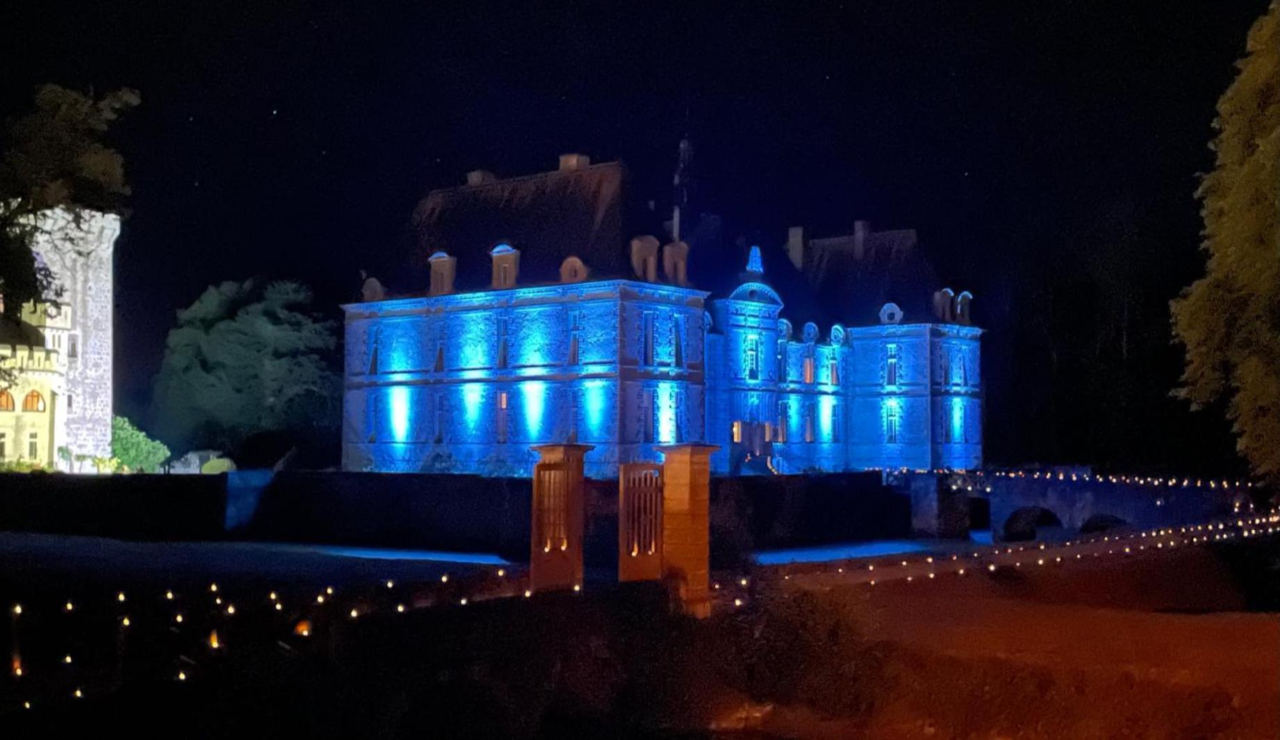 Hotel Chateau De Saint Loup Exterior foto