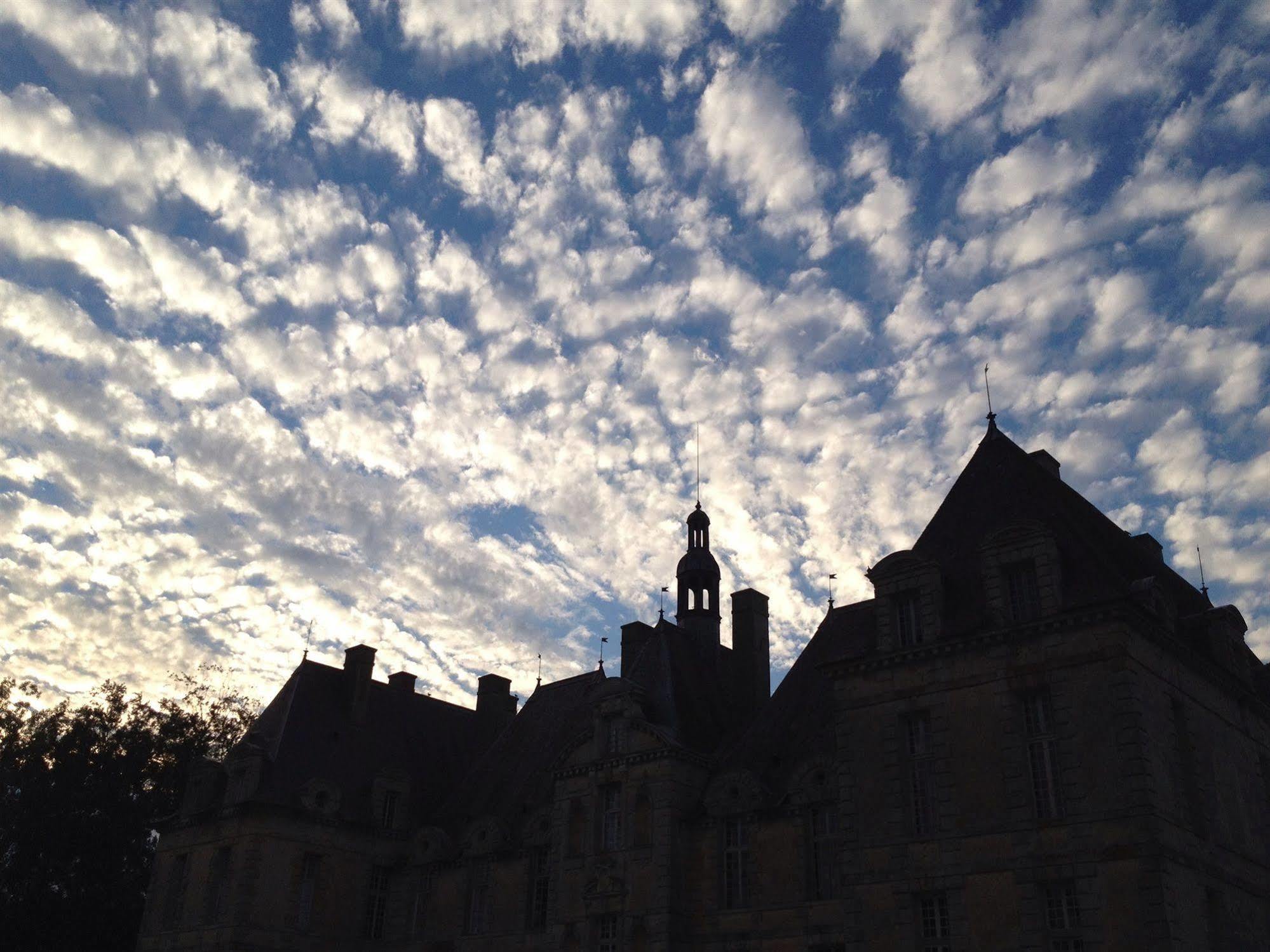 Hotel Chateau De Saint Loup Exterior foto